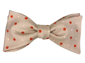 Tomatoes Bow Tie